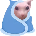 SCbinguscozy