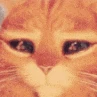 Ltfeen