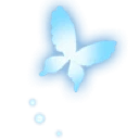 anc_butterfly