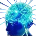 bigbrain_c