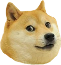 Doge
