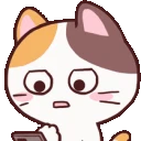 catomg
