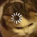 Cat_Loading