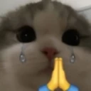 0Catpray