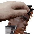 1PetPhoenix