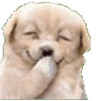 puppygiggle_sal
