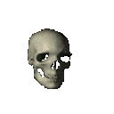 spinning_skull