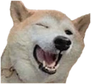 dogwink