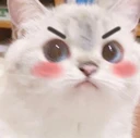 DashieMad