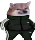 CH_DogeTripoloski
