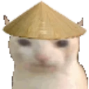 chinacat