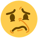 jedgy_ew