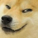 DogeSmug