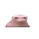 bingus_zoom