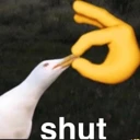TT_shut
