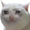 SadCat