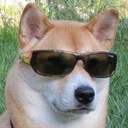 rCooldoge