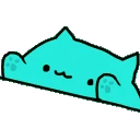 bongocathyper