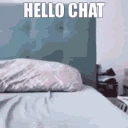 m_cat_hello_chat