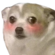 flust