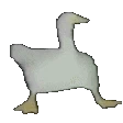 goose