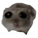 sadHamster