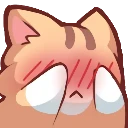 nekocat_shy