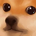 Shiba_Wholesome