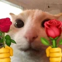 Love4you