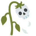 skullrose