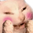 Cat_Blushed