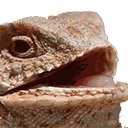 9ACOSP_hehe