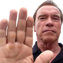 ArnoldHalt