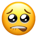 CH_Pleading