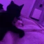catcuddle