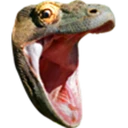 KomodoHype