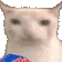 veryCat