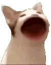 catpop