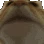 405_catnod