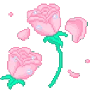 pinkroses