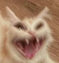 AaAaaAaAAaAAAAAaaaAAAAAaAAaAAAAA