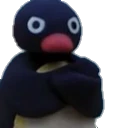 angie_pingu
