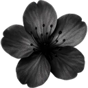 3B_flower