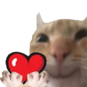 0Cat_lovesU