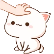 sukoon_pat