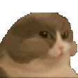 CatNum