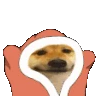 sukoon_dog_dance