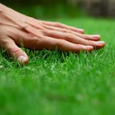 touchgrasswhen