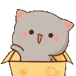 6_nyaawave