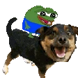 Pepe_Ride_Dog
